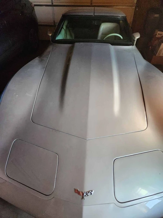 1979 Chevrolet Corvette C3 - Image 15 of 31
