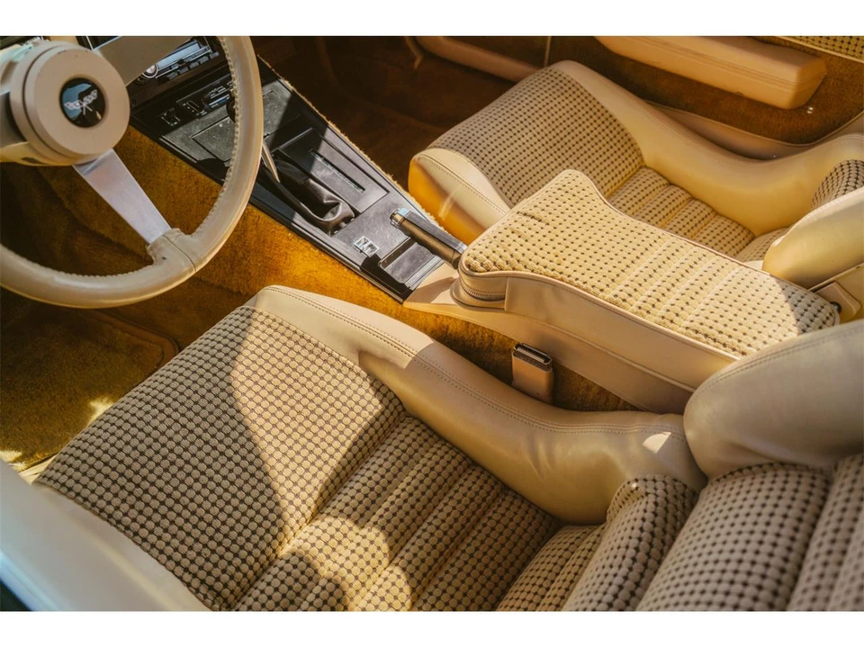 1979 Chevrolet Corvette C3 - Image 10 of 31