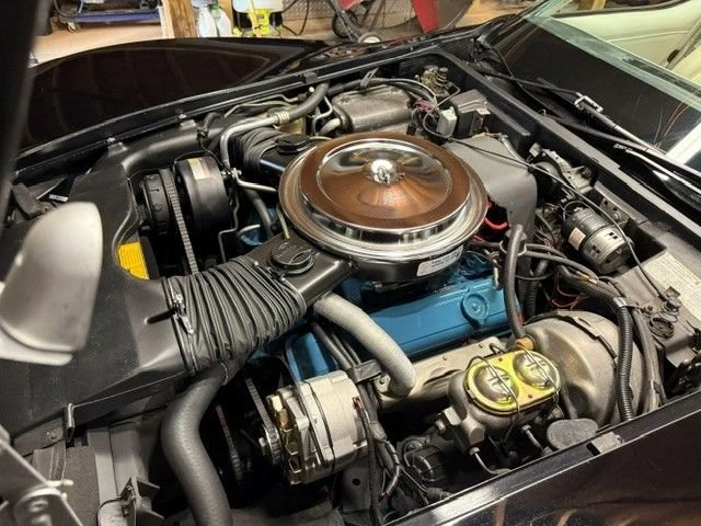 1979 Chevrolet Corvette C3 - Image 12 of 23