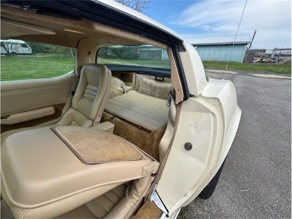 1979 Chevrolet Corvette C3 - Image 9 of 10