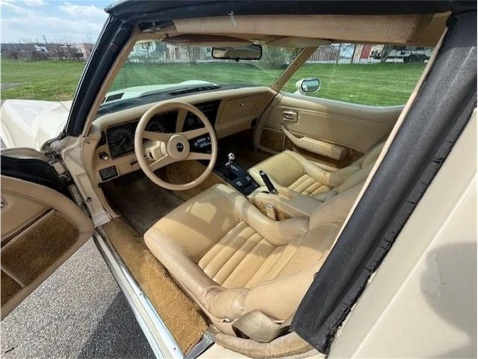 1979 Chevrolet Corvette C3 - Image 8 of 10