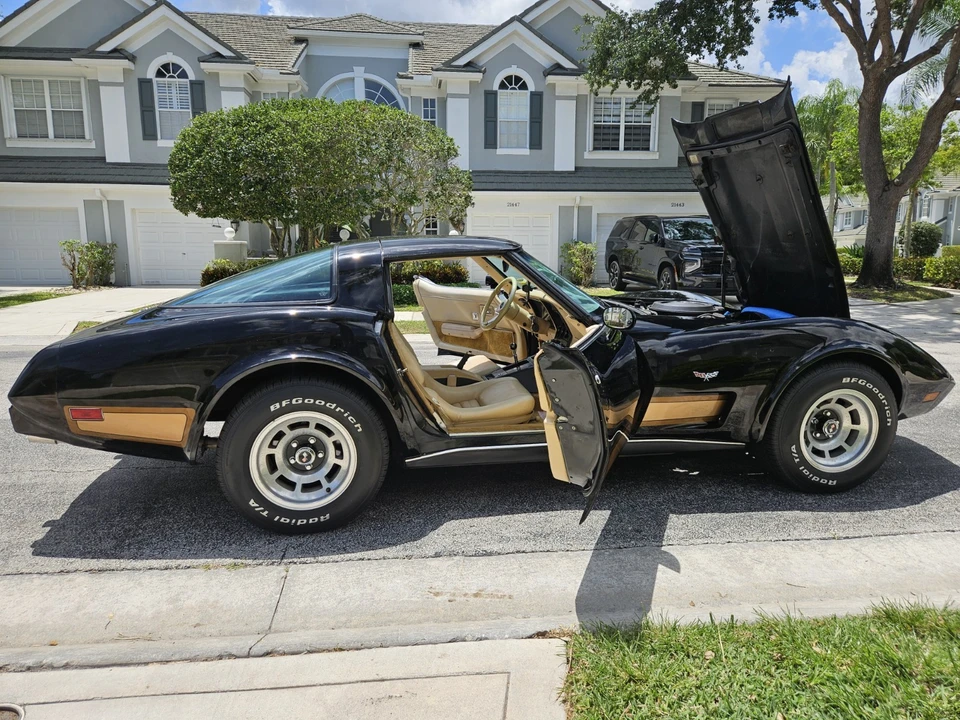 1979 Chevrolet Corvette C3 - Image 15 of 31
