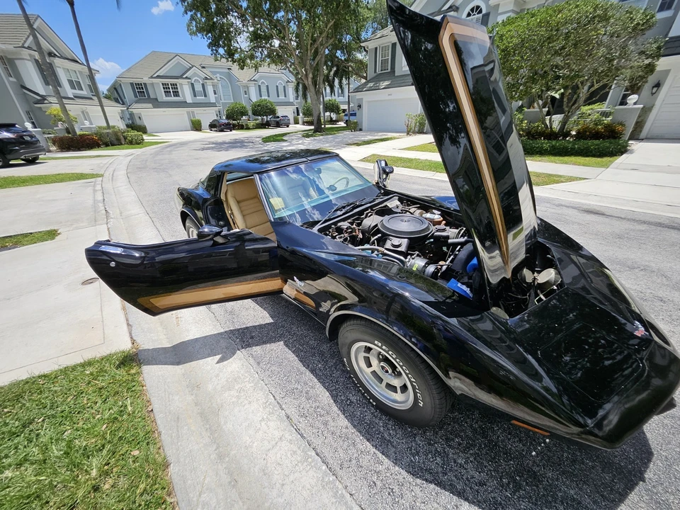 1979 Chevrolet Corvette C3 - Image 12 of 31