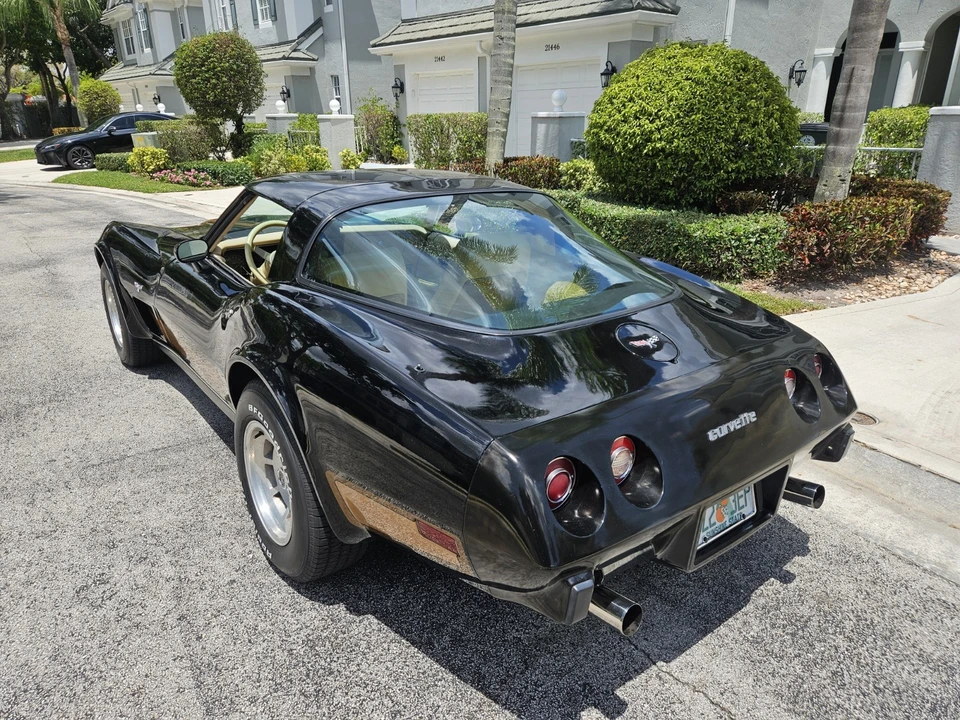 1979 Chevrolet Corvette C3 - Image 9 of 31