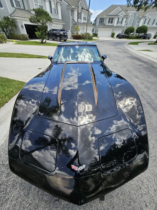 1979 Chevrolet Corvette C3 - Image 3 of 31