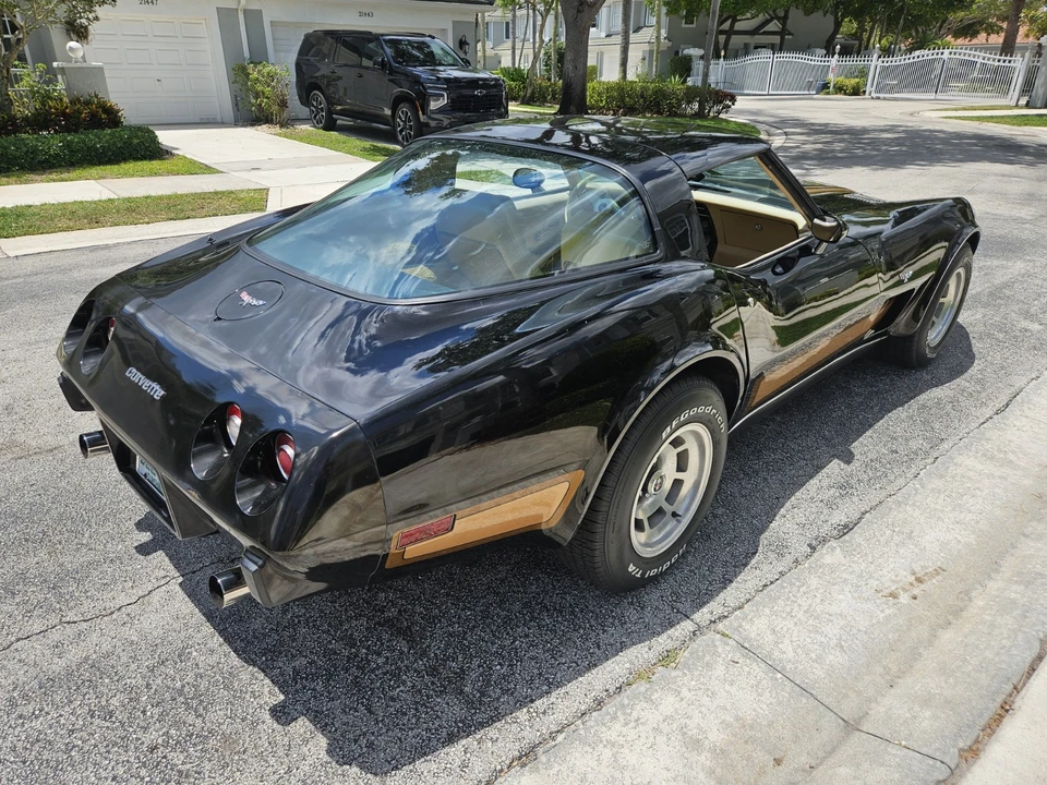 1979 Chevrolet Corvette C3 - Image 8 of 31