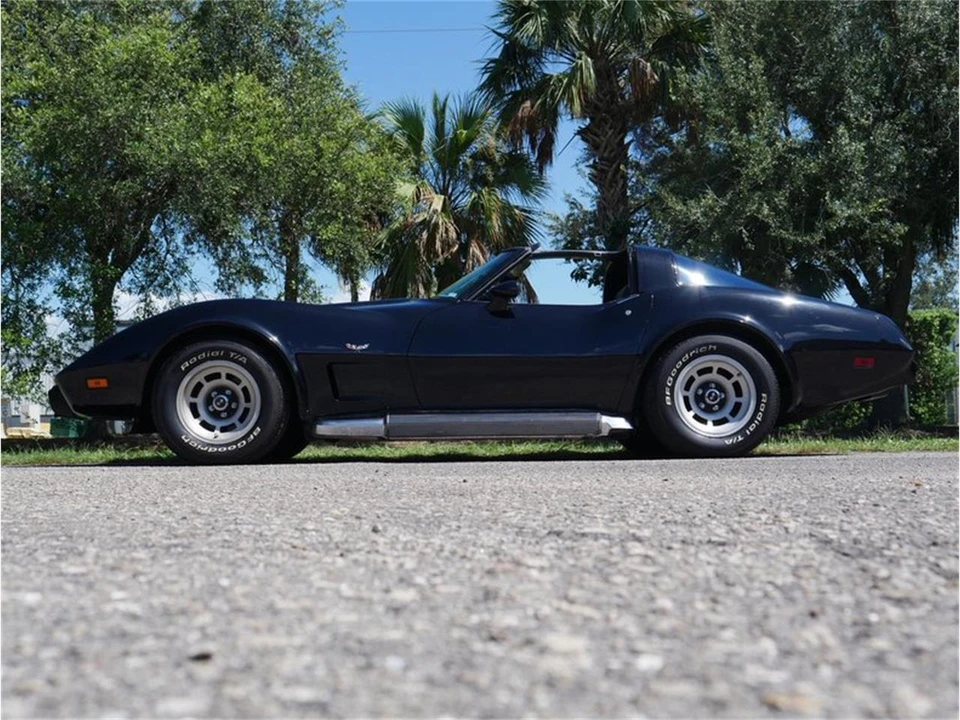 1979 Chevrolet Corvette C3 - Image 8 of 31
