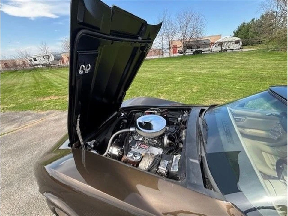 1979 Chevrolet Corvette C3 - Image 10 of 10
