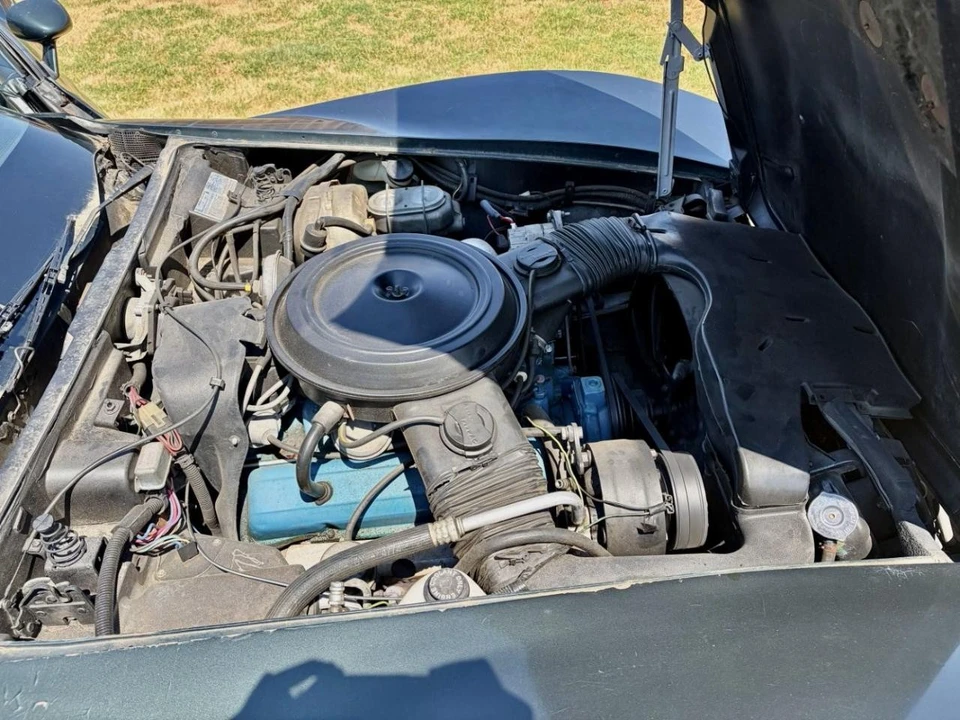 1979 Chevrolet Corvette C3 - Image 20 of 22