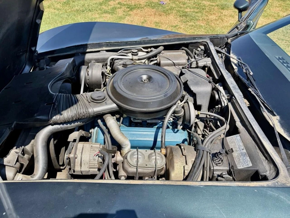 1979 Chevrolet Corvette C3 - Image 19 of 22