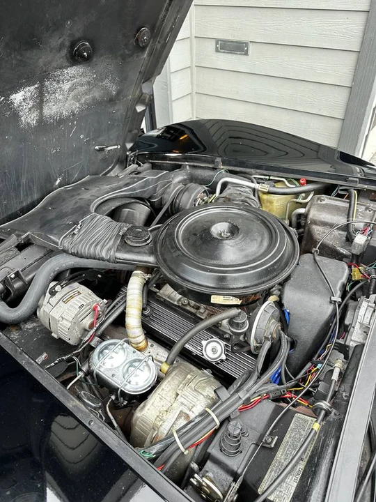1979 Chevrolet Corvette C3 - Image 10 of 11