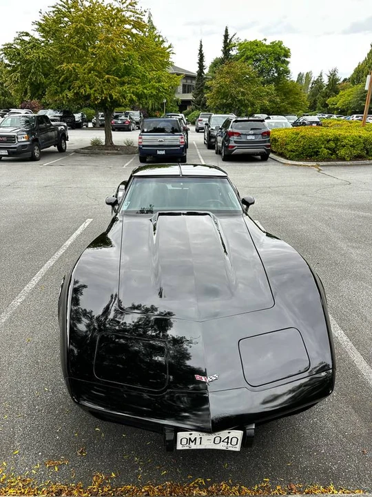 1979 Chevrolet Corvette C3 - Image 9 of 11