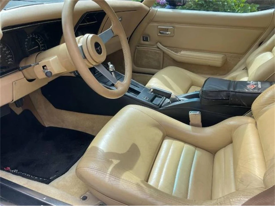 1979 Chevrolet Corvette C3 - Image 18 of 20