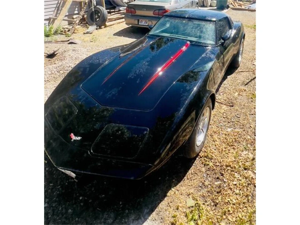 1979 Chevrolet Corvette C3 - Image 7 of 8