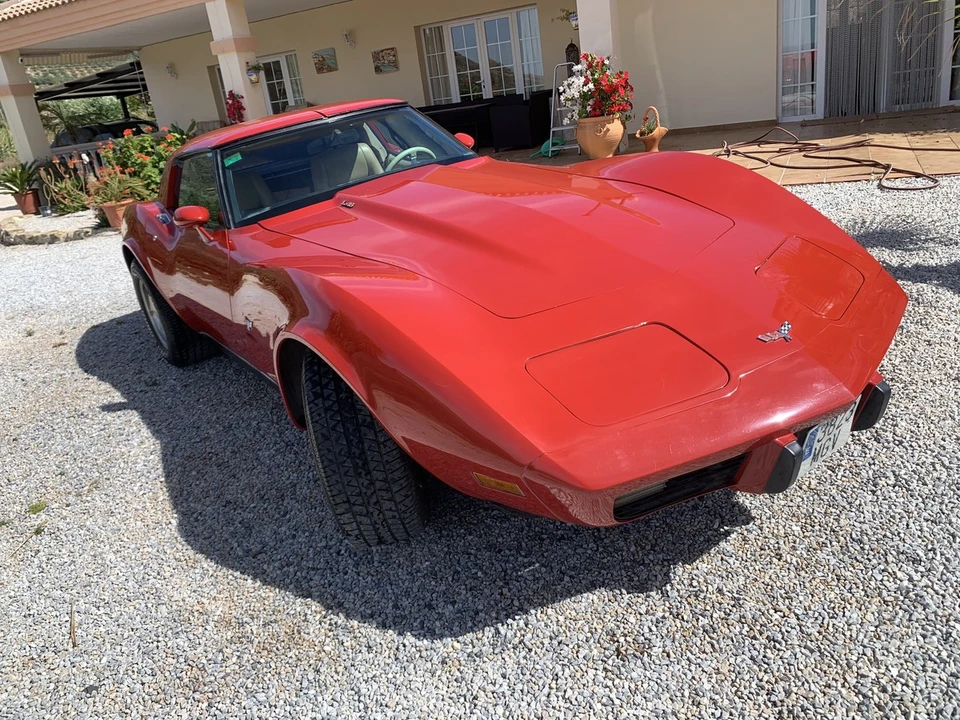 1979 Chevrolet Corvette C3 - Image 9 of 30