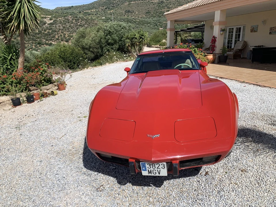 1979 Chevrolet Corvette C3 - Image 10 of 30