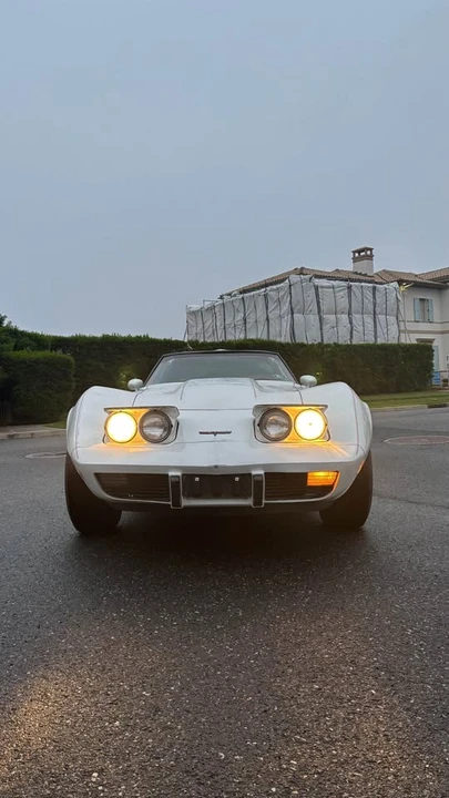 1979 Chevrolet Corvette C3 - Image 4 of 8
