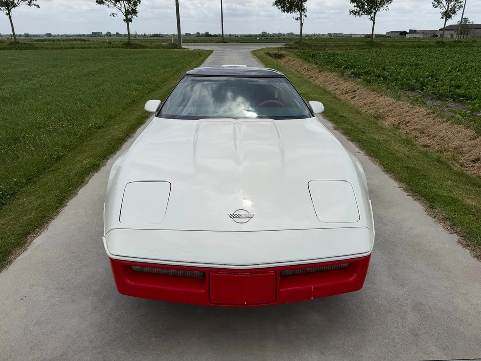 1979 Chevrolet Corvette C3 - Image 4 of 31