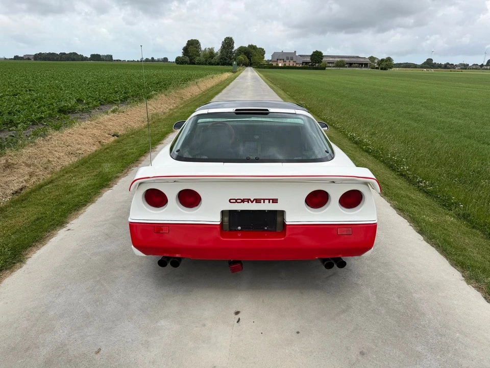 1979 Chevrolet Corvette C3 - Image 8 of 31