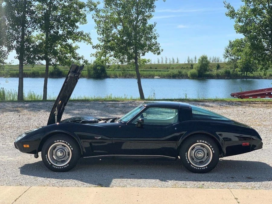 1979 Chevrolet Corvette C3 - Image 2 of 7