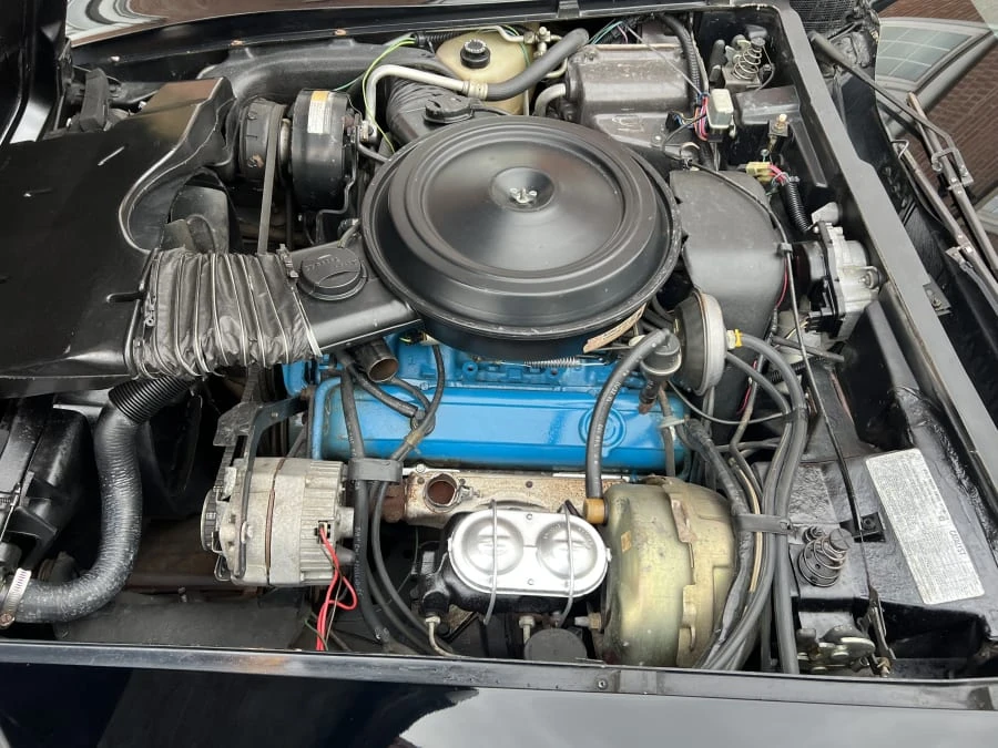 1979 Chevrolet Corvette C3 - Image 9 of 10