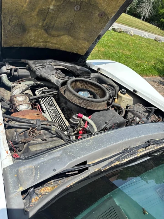 1979 Chevrolet Corvette C3 - Image 11 of 14