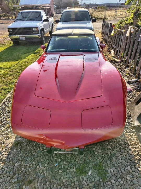 1979 Chevrolet Corvette C3 - Image 1 of 10