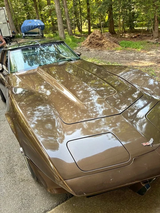 1979 Chevrolet Corvette C3 - Image 1 of 19