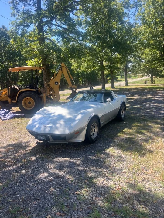 1979 Chevrolet Corvette C3 - Image 2 of 9