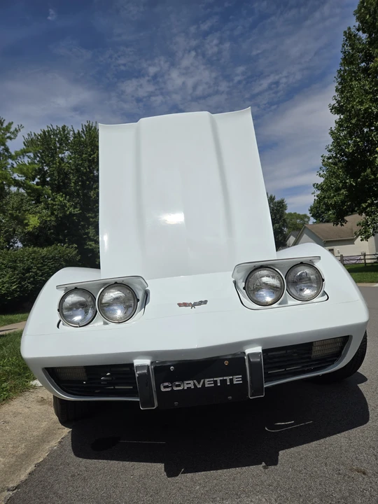 1979 Chevrolet Corvette C3 - Image 17 of 31