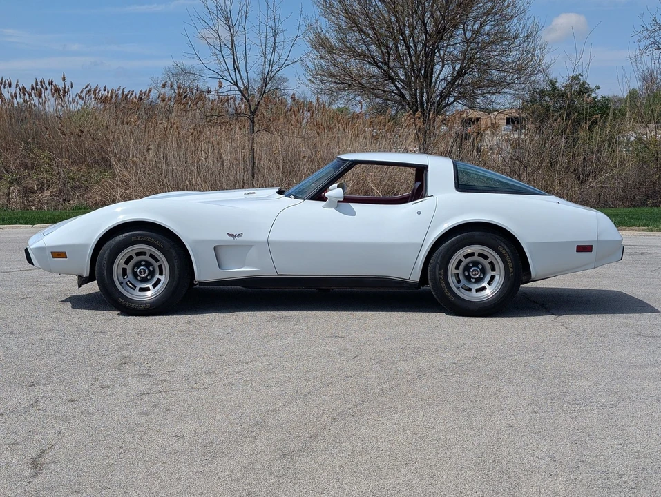 1979 Chevrolet Corvette C3 - Image 20 of 24