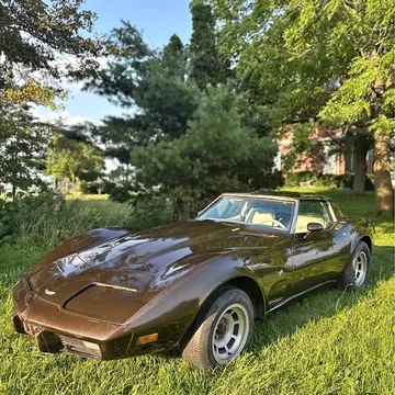 1979 Chevrolet Corvette L-82