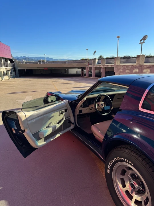 1979 Chevrolet Corvette C3 - Image 20 of 21