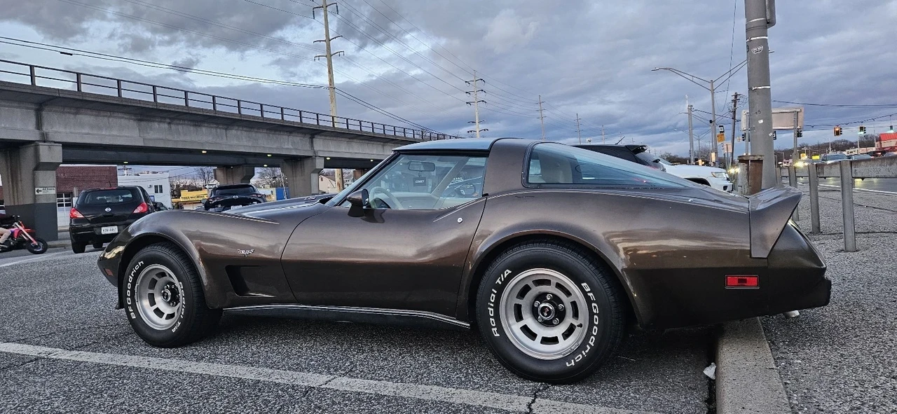 1979 Chevrolet Corvette C3 - Image 13 of 20
