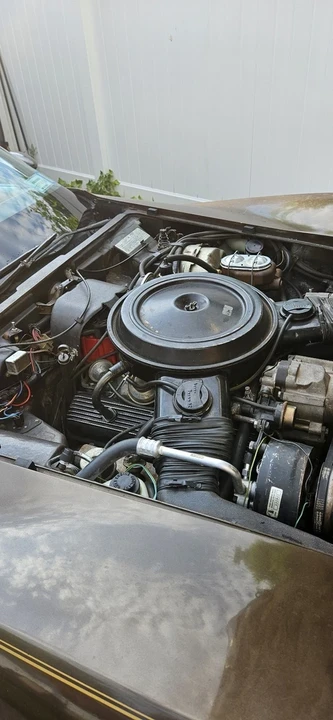 1979 Chevrolet Corvette C3 - Image 18 of 20