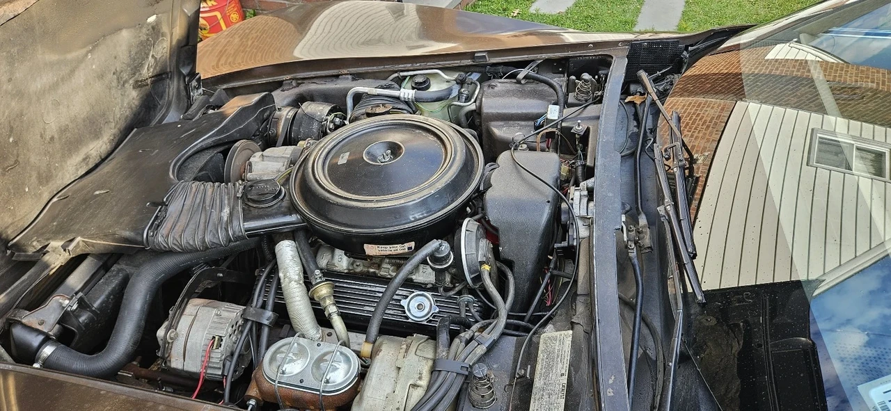 1979 Chevrolet Corvette C3 - Image 19 of 20