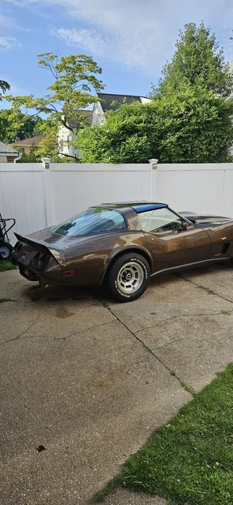 1979 Chevrolet Corvette C3 - Image 7 of 20