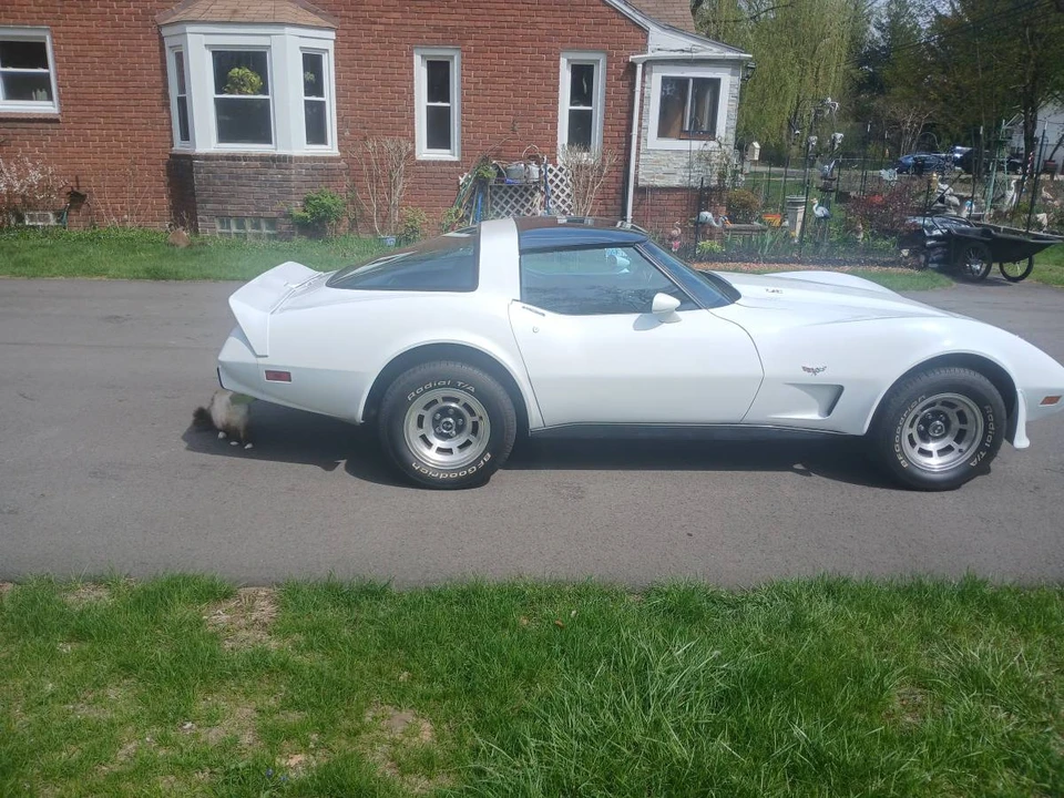 1979 Chevrolet Corvette C3 - Image 2 of 8