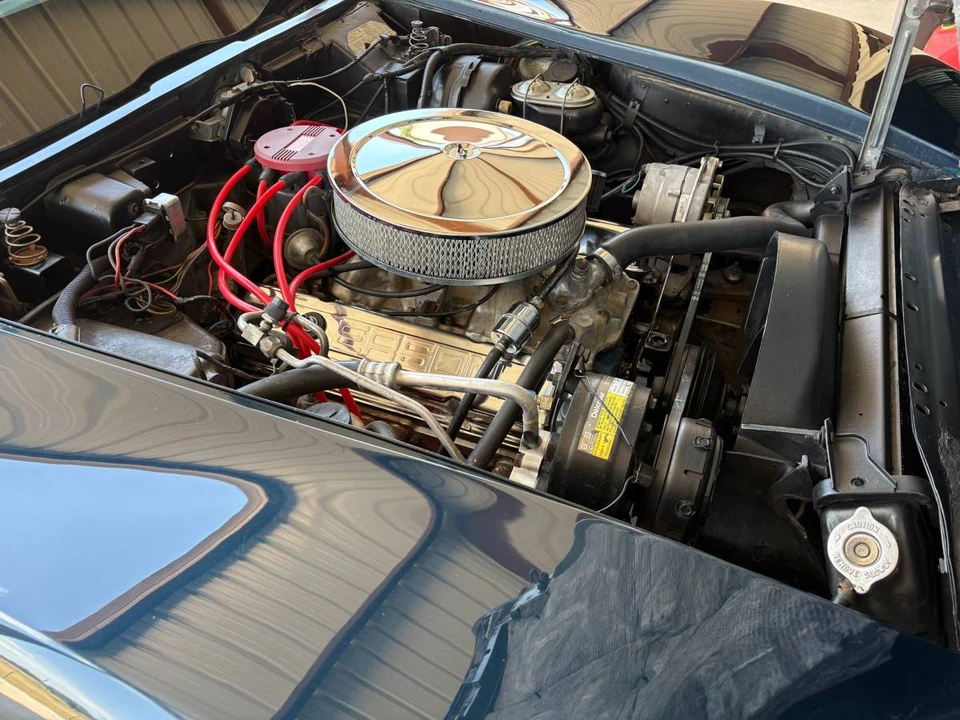 1979 Chevrolet Corvette C3 - Image 22 of 24