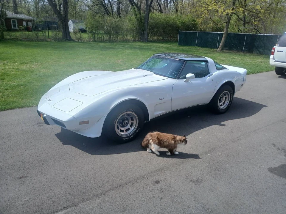 1979 Chevrolet Corvette C3 - Image 5 of 8