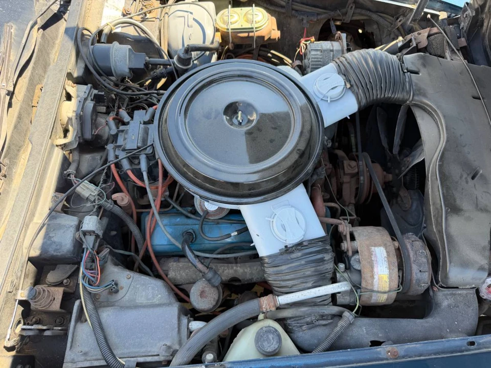 1979 Chevrolet Corvette C3 - Image 19 of 20