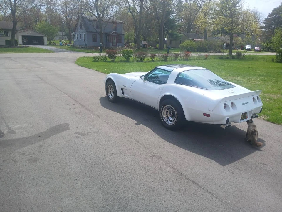 1979 Chevrolet Corvette C3 - Image 4 of 8