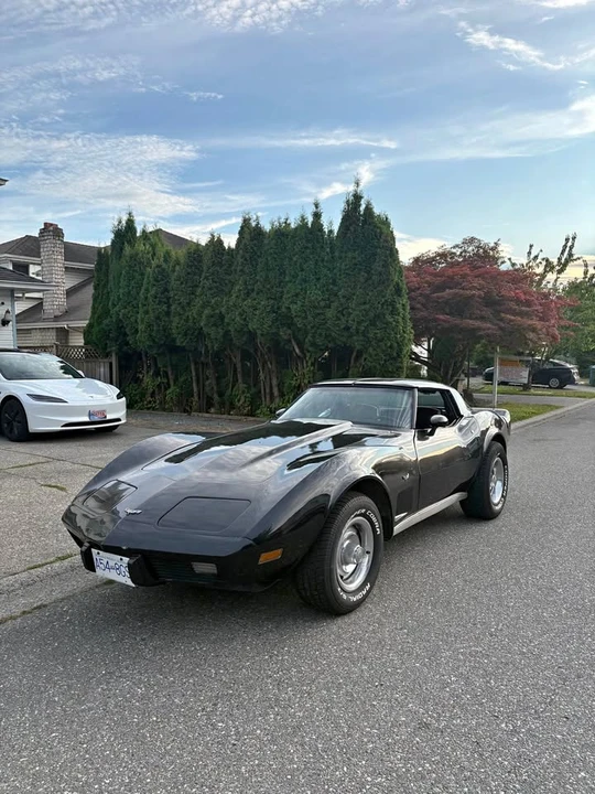 1979 Chevrolet Corvette C3 - Image 1 of 6