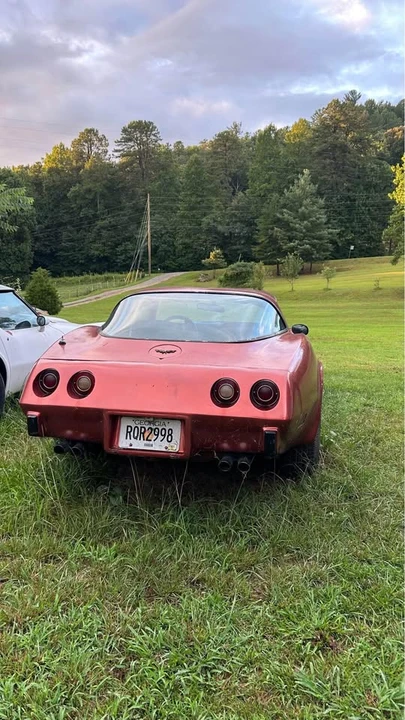 1979 Chevrolet Corvette C3 - Image 6 of 8