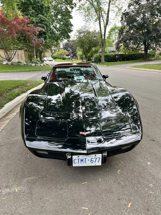 1979 Chevrolet Corvette C3 - Image 1 of 12