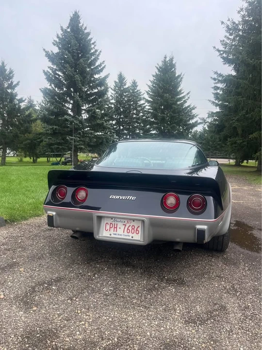 1979 Chevrolet Corvette C3 - Image 3 of 8