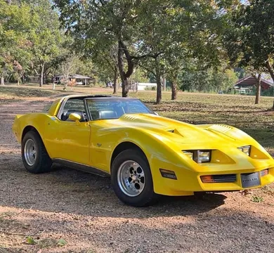 1979 Chevrolet Corvette