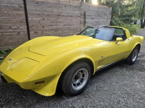 1979 Chevrolet Corvette