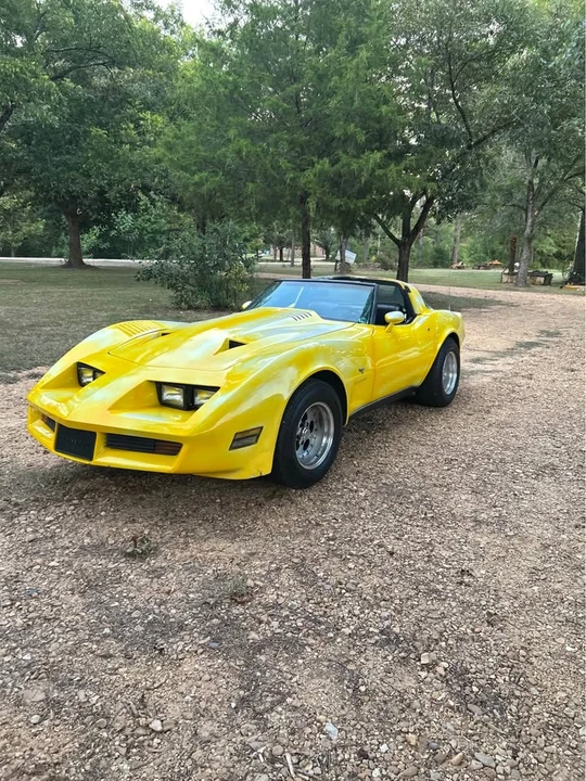 1979 Chevrolet Corvette C3 - Image 2 of 10