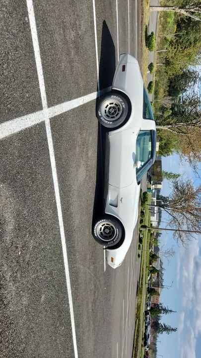 1979 Chevrolet Corvette C3 - Image 8 of 9